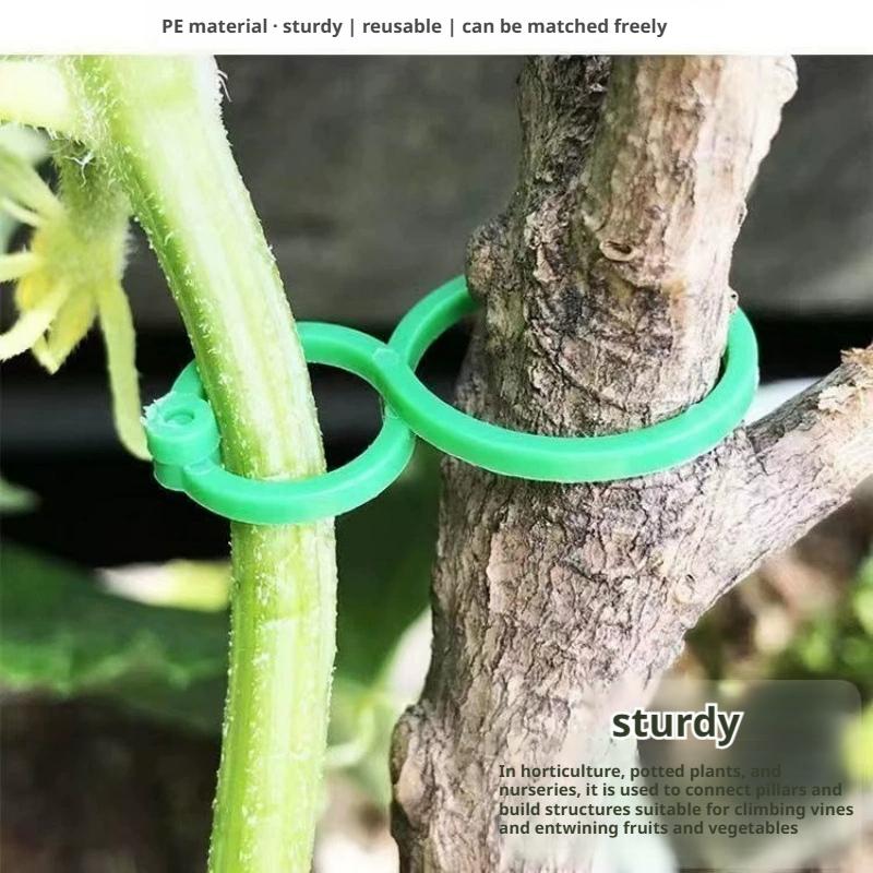 100 pinces de support pour pla - Vine Climbing Plastic avis et prix