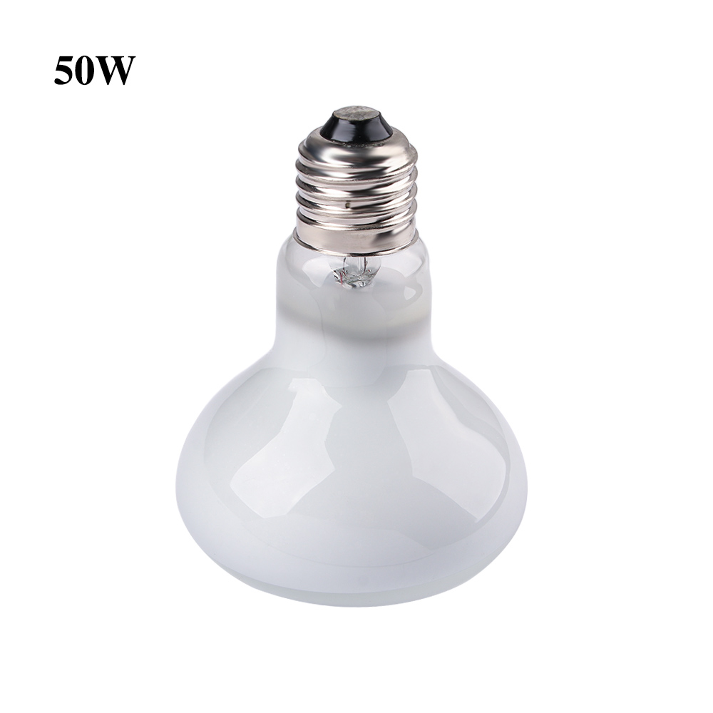 Contrôleur de température pour - Basking Bulb Halogen avis et prix