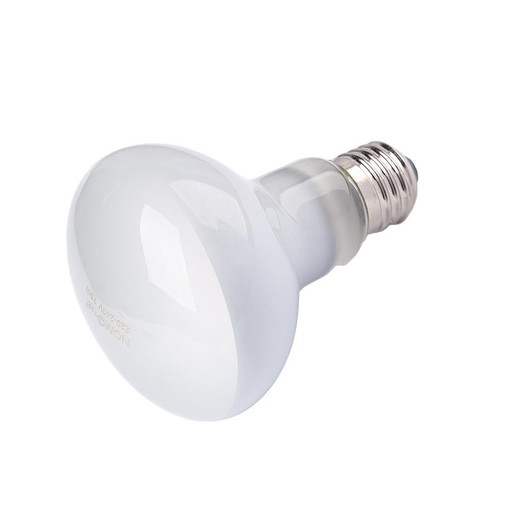 Lampe chauffante pour tortues, - Basking Bulb Halogen avis et prix
