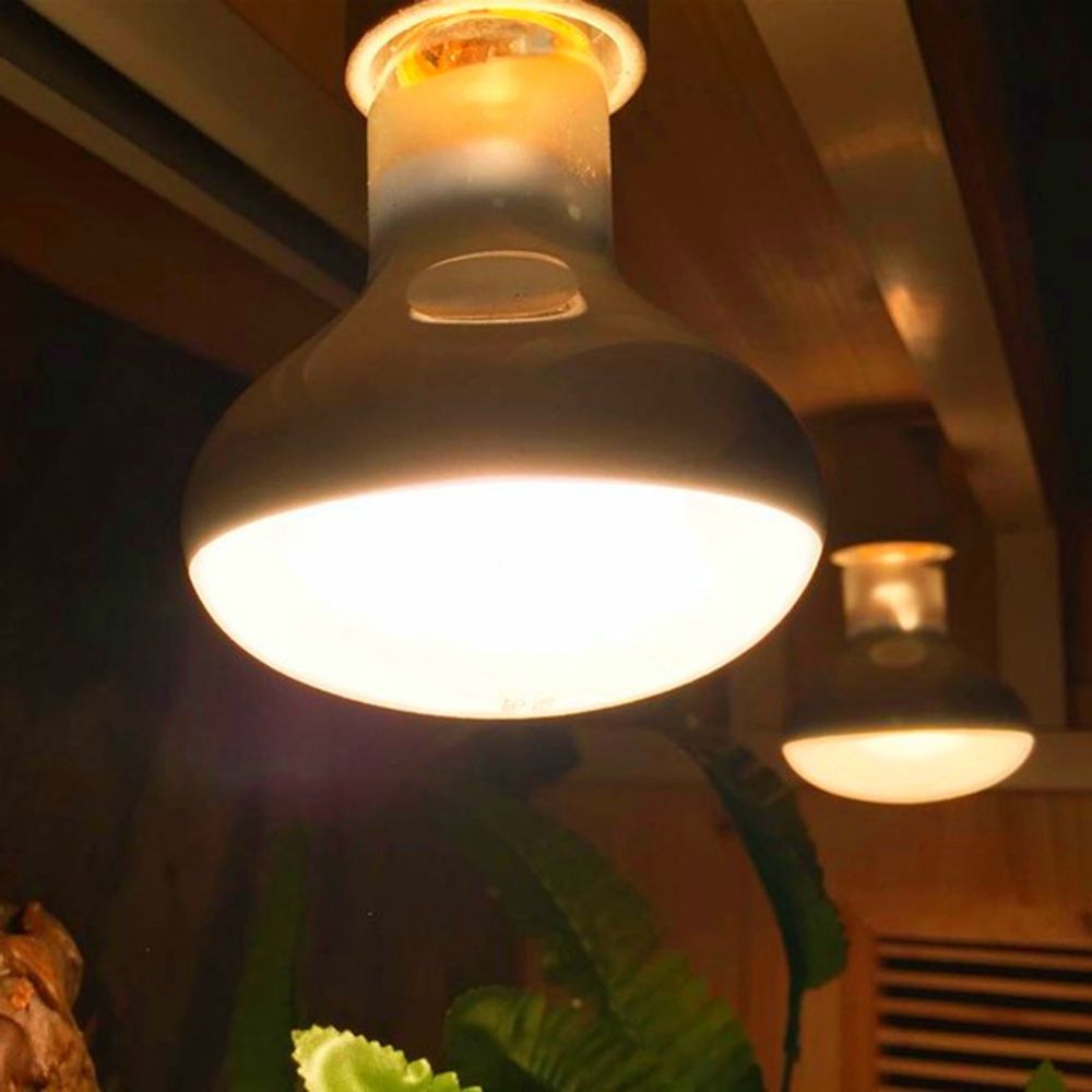 Lampe chauffante pour tortues, - Basking Bulb Halogen avis et prix