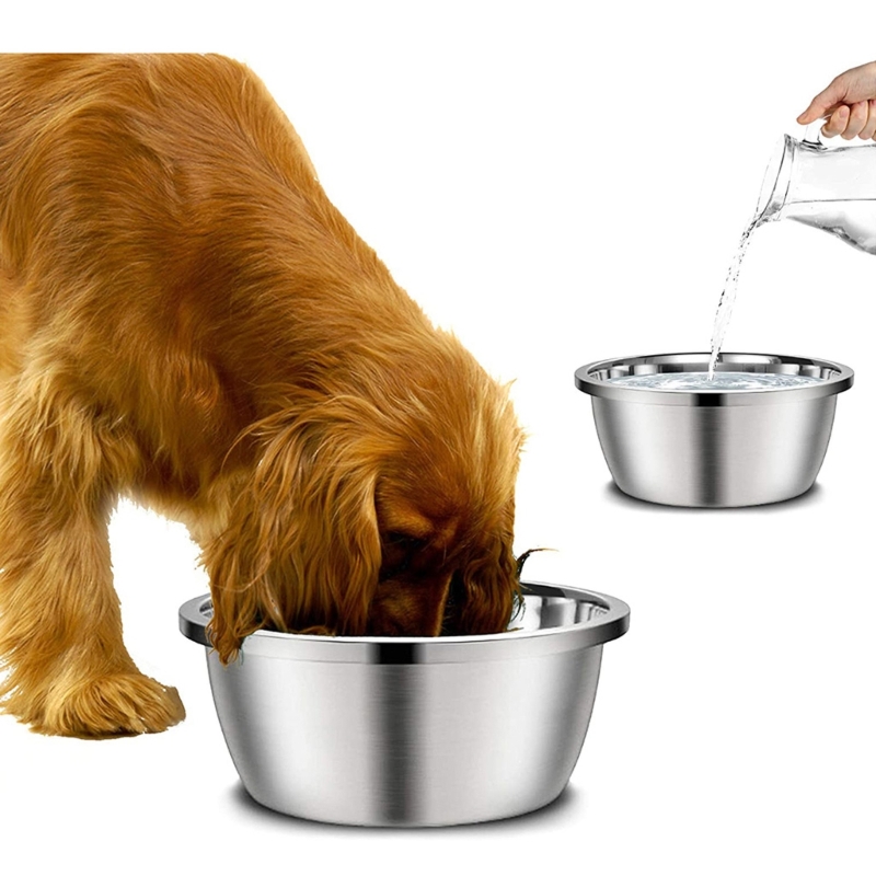 Mangeoires pour chiens en acie - Royal Canin Food Medium avis et prix