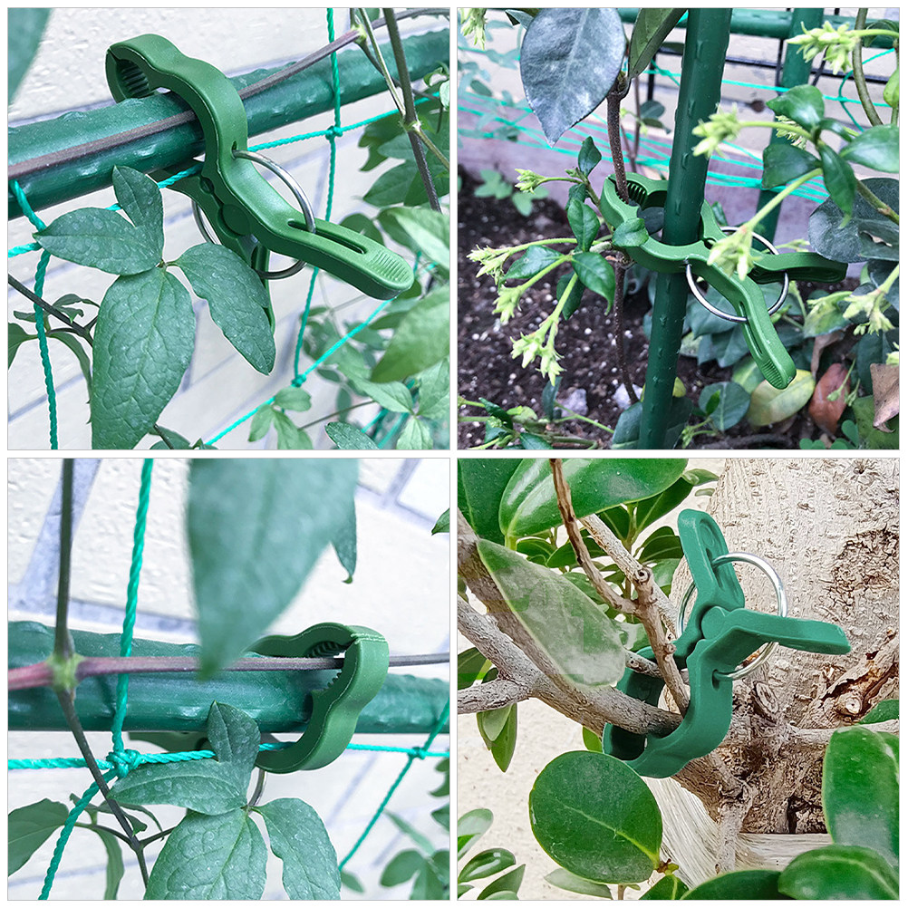 60 pièces, pinces de soutien e - Vine Climbing Plastic avis et prix