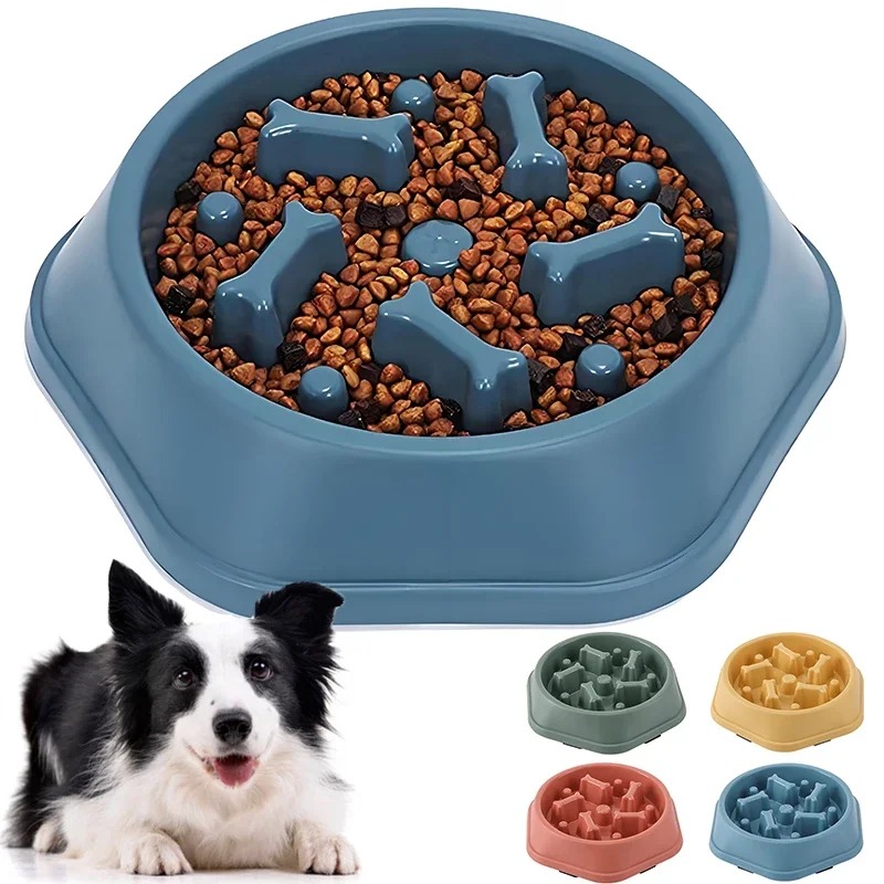 1 pièce Gamelle anti-étouffeme - Royal Canin Food Medium avis et prix